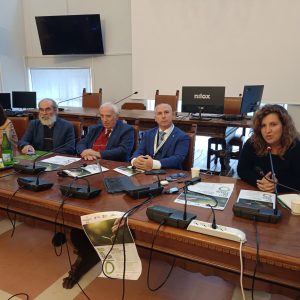 urbino-18