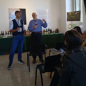 urbino-43